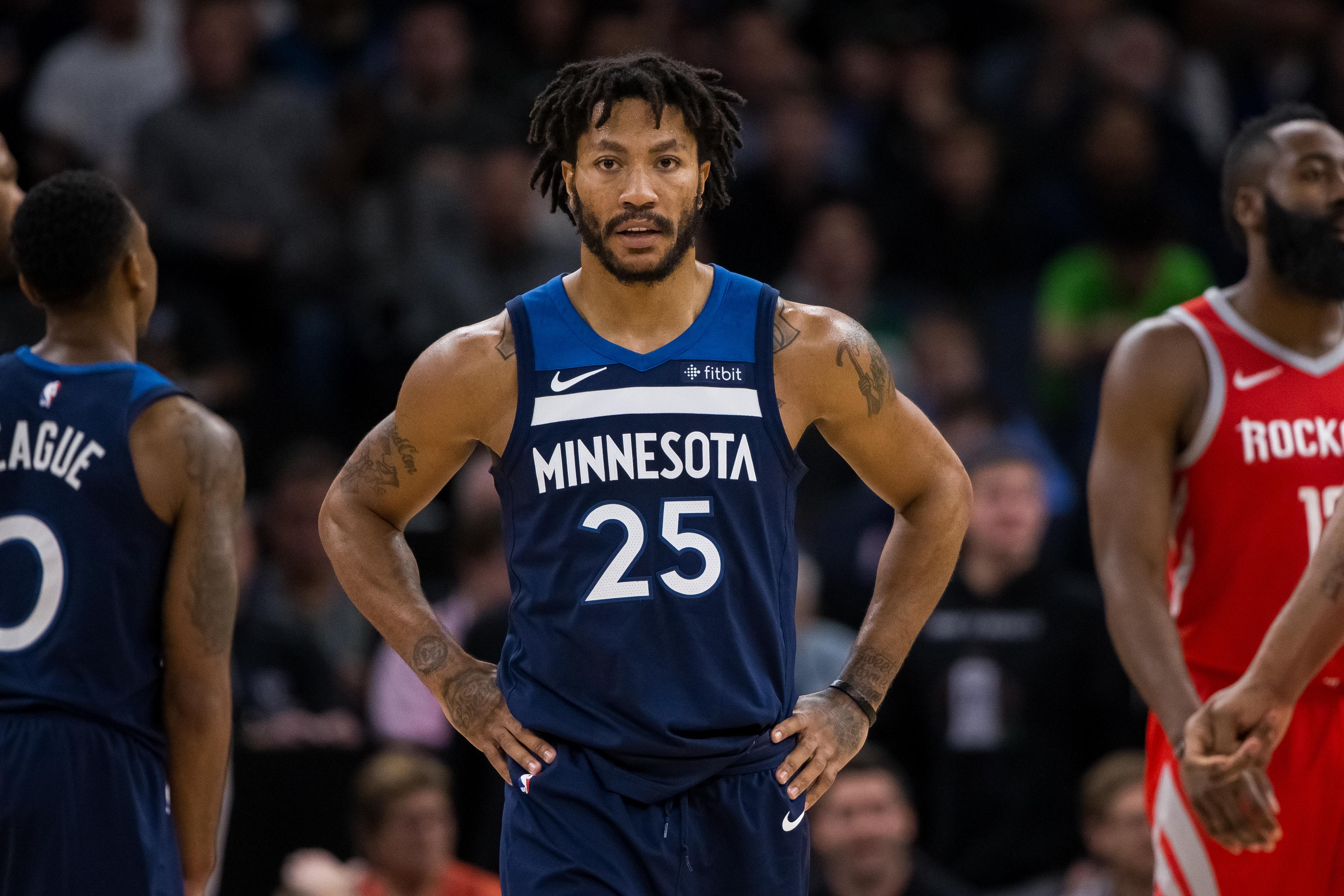 derrick rose minnesota