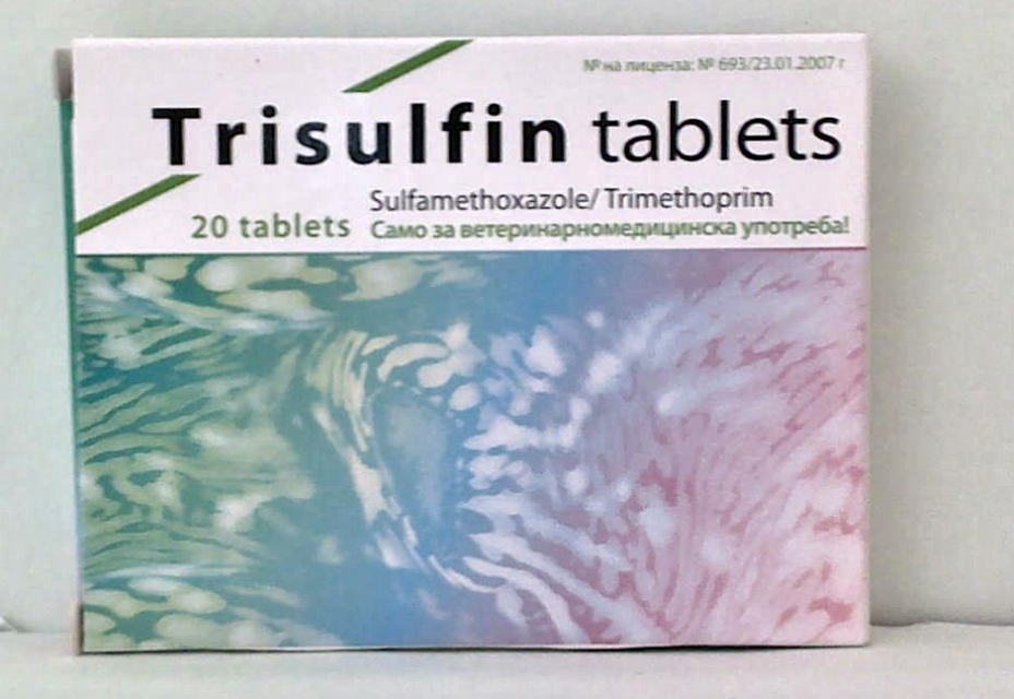 Sulfamethoxazole and Trimethoprim Tablets Double Strength for dogs and