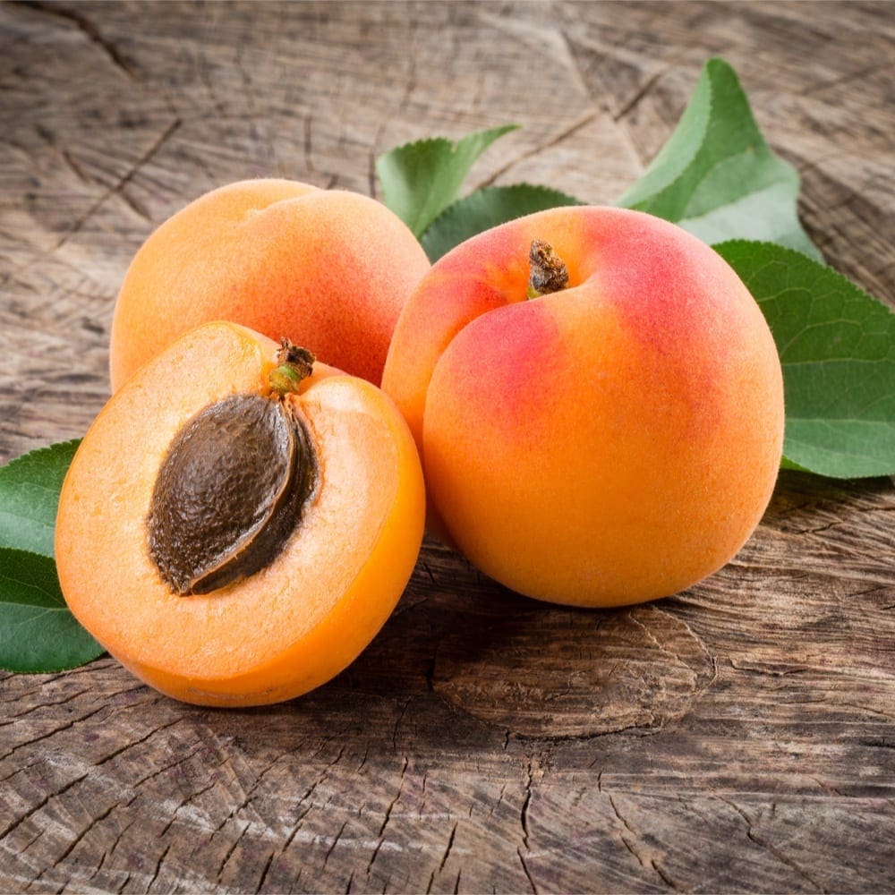 APRICOTS 400 GRAM TUB Zone Fresh