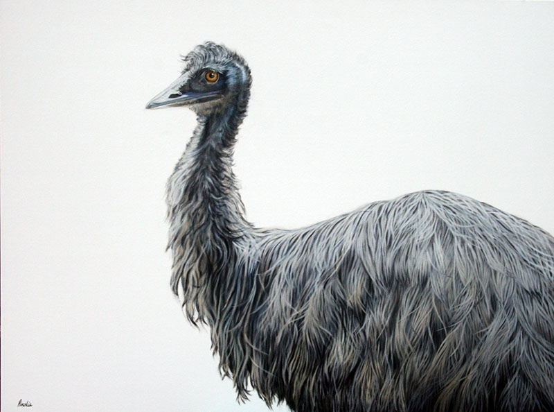 James Ainslie ZoneOne Arts