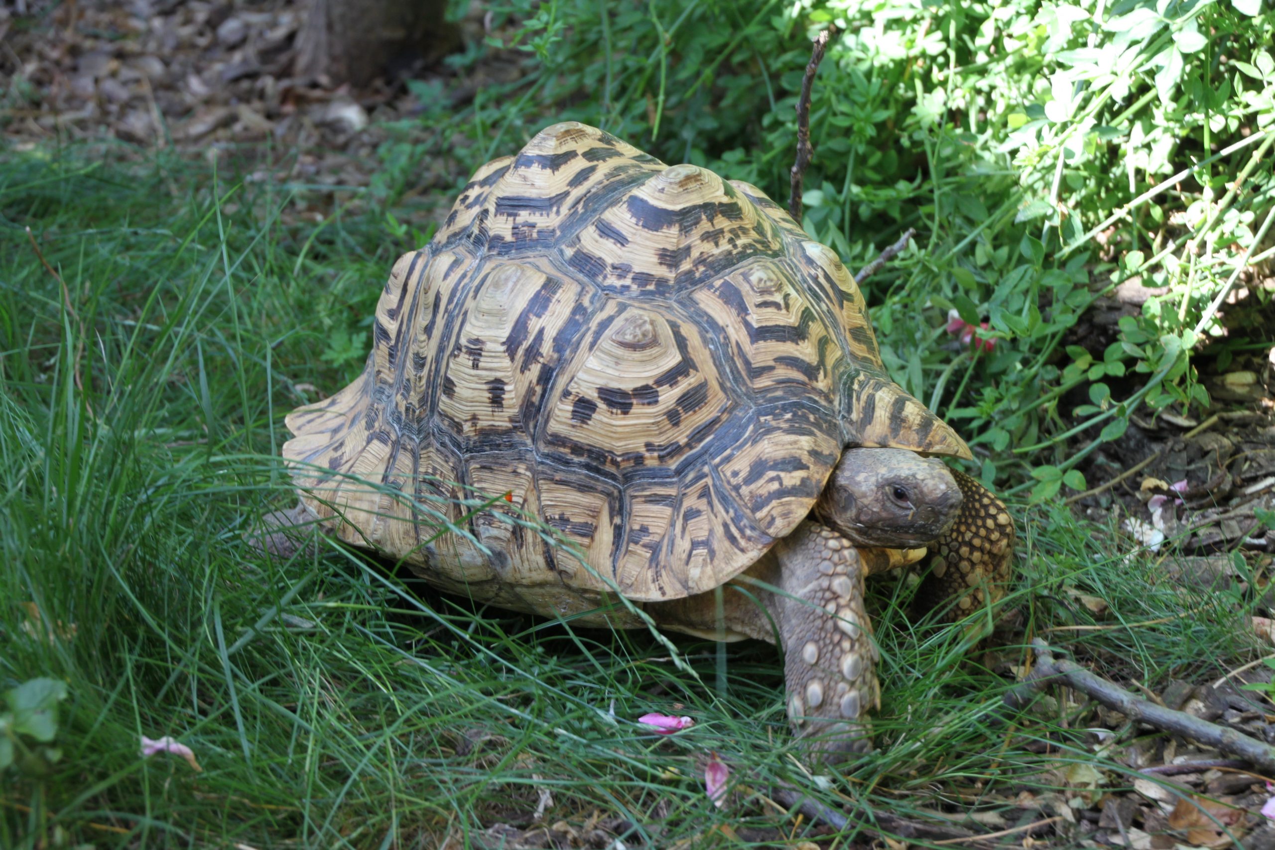 Reptilien ZOO BRAUNSCHWEIG