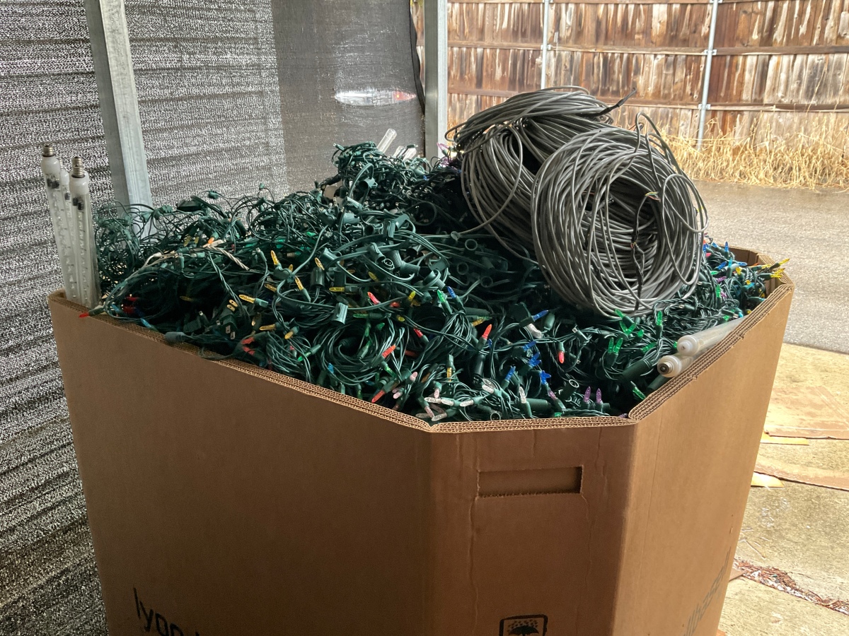 Recycle Holiday Lights at Detroit Zoo Zoo Guide