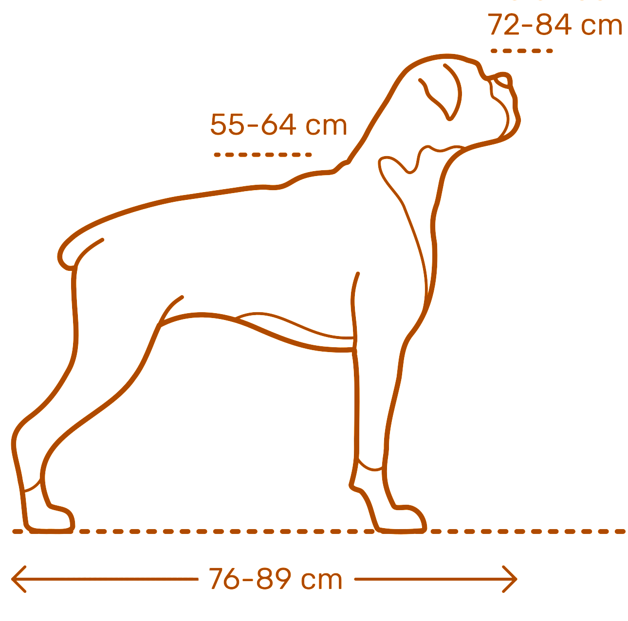 Краткое описание собаки породы Боксер