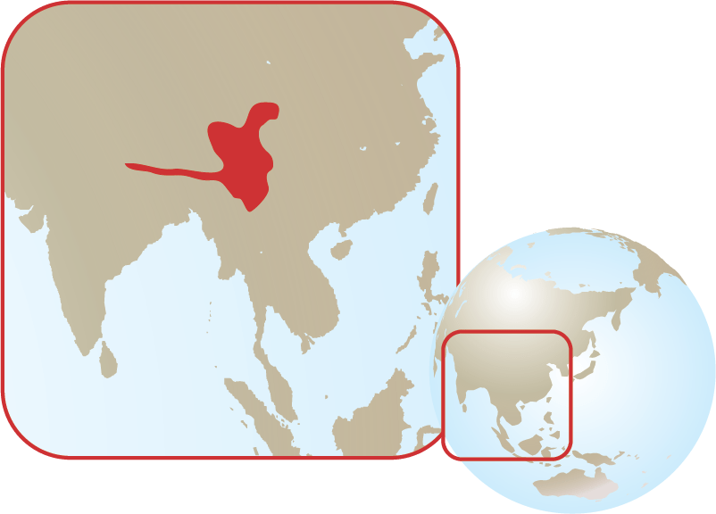 Red Panda Zoo Atlanta