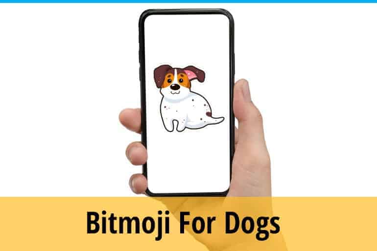 How to Create Bitmoji for Dogs? ZooAwesome
