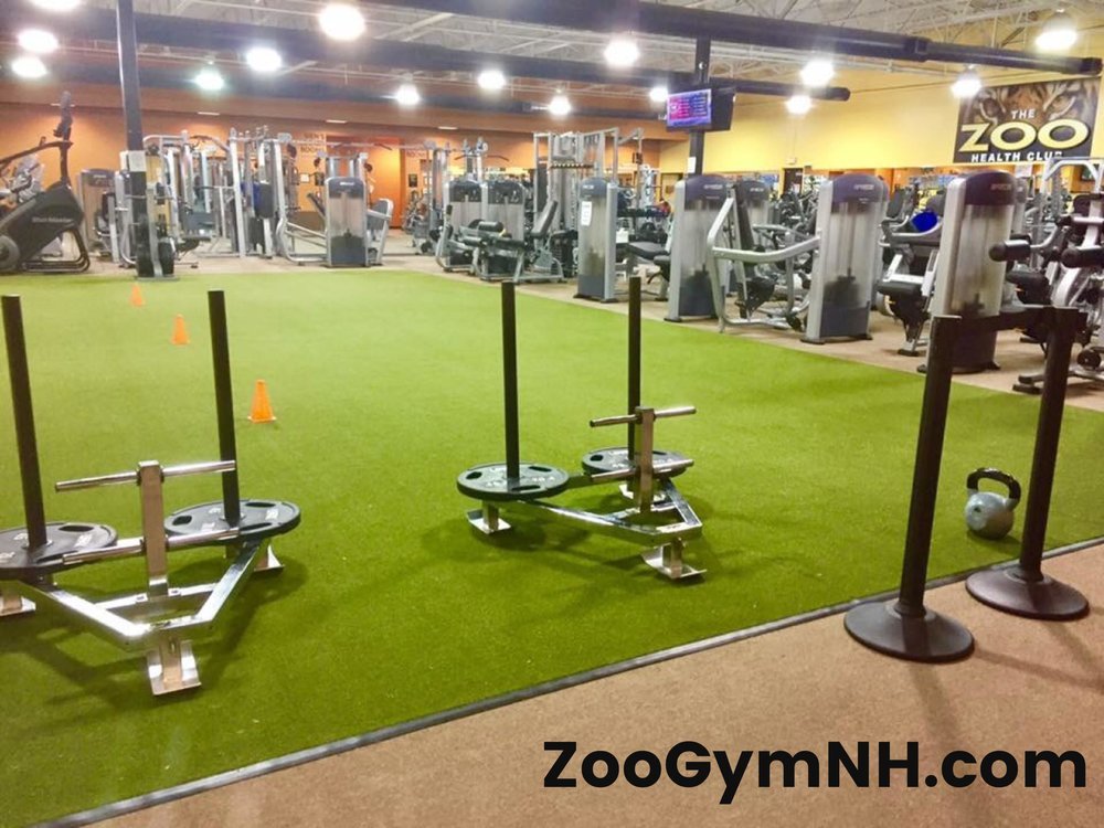 Derry Club Info Zoo Gym
