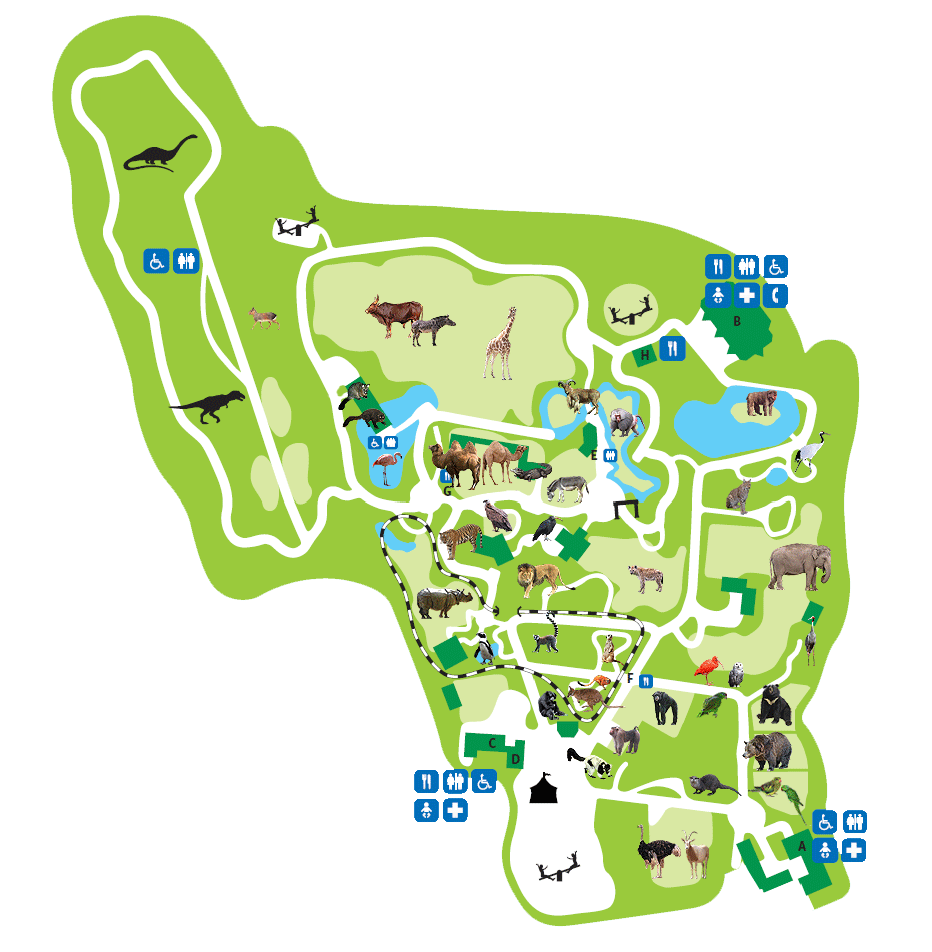 Kaart Dierenpark Amersfoort Maps The map of Dierenpark Amersfoort in Amersfoort, The Netherlands