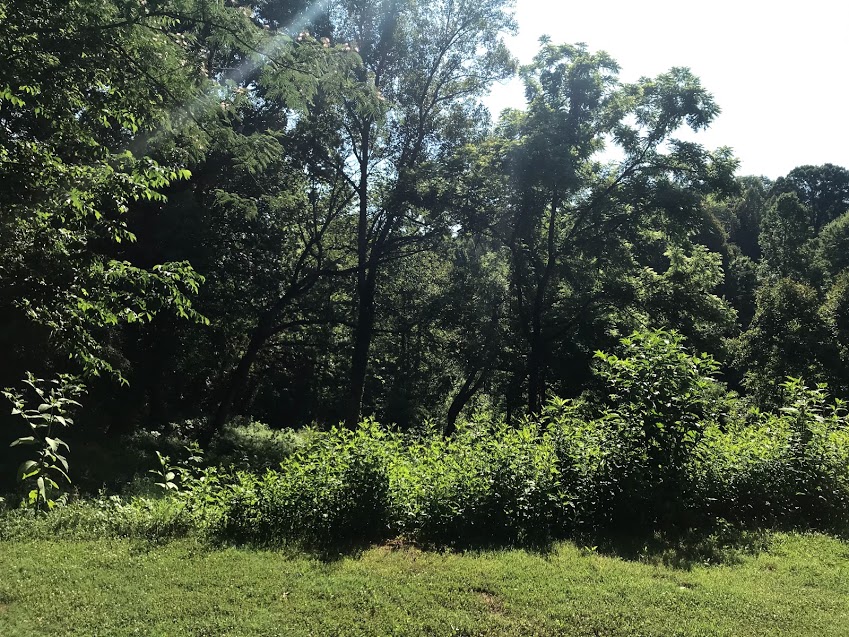 Avaliable Homes For Sale or Lease To Own Zook Properties, LLC