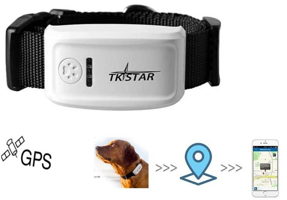 Los 10 mejores GPS para perros