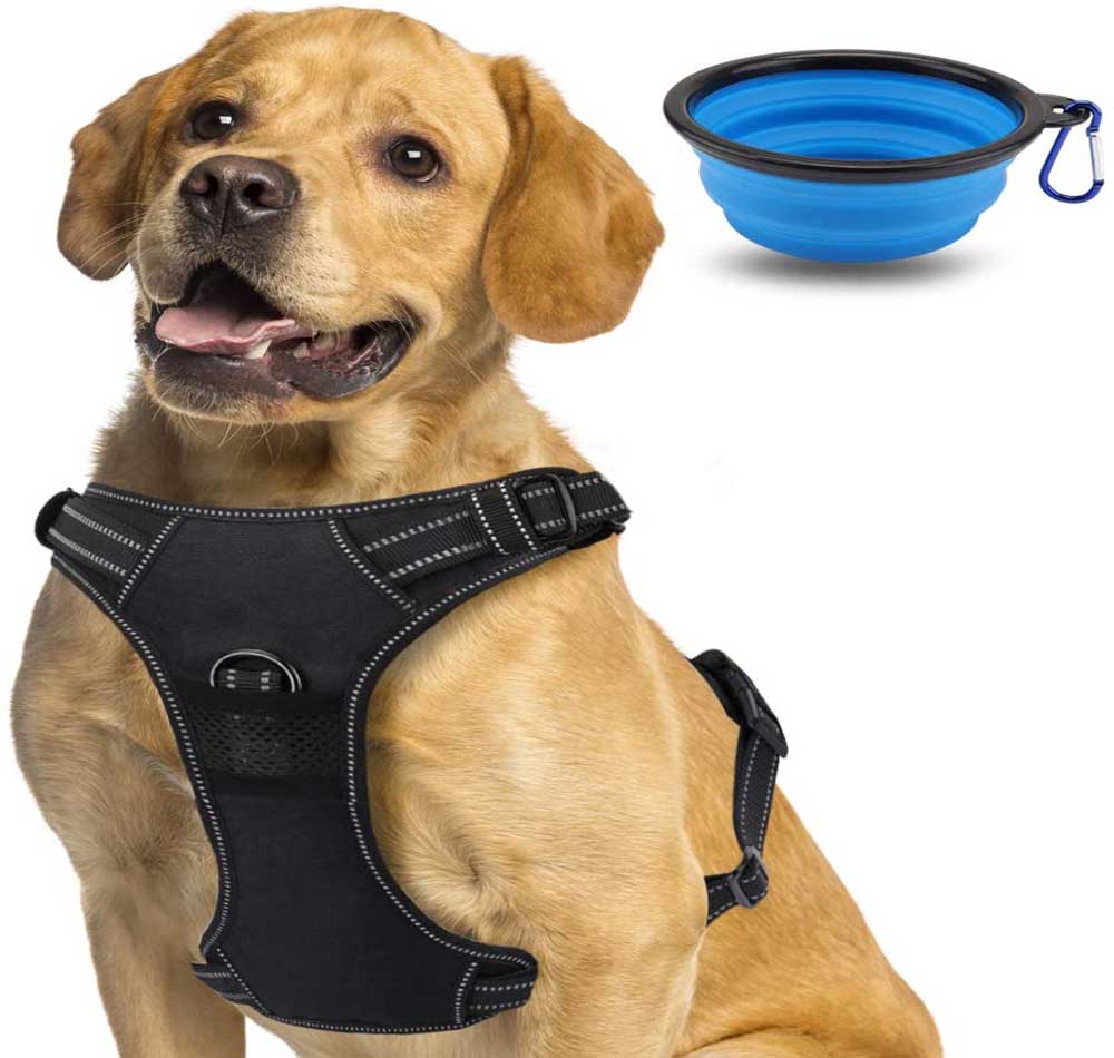 Los 10 mejores arneses para perros