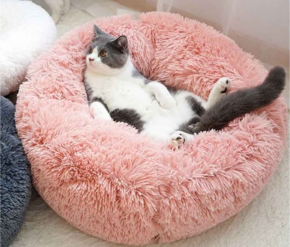 Las 10 mejores camas para gatos