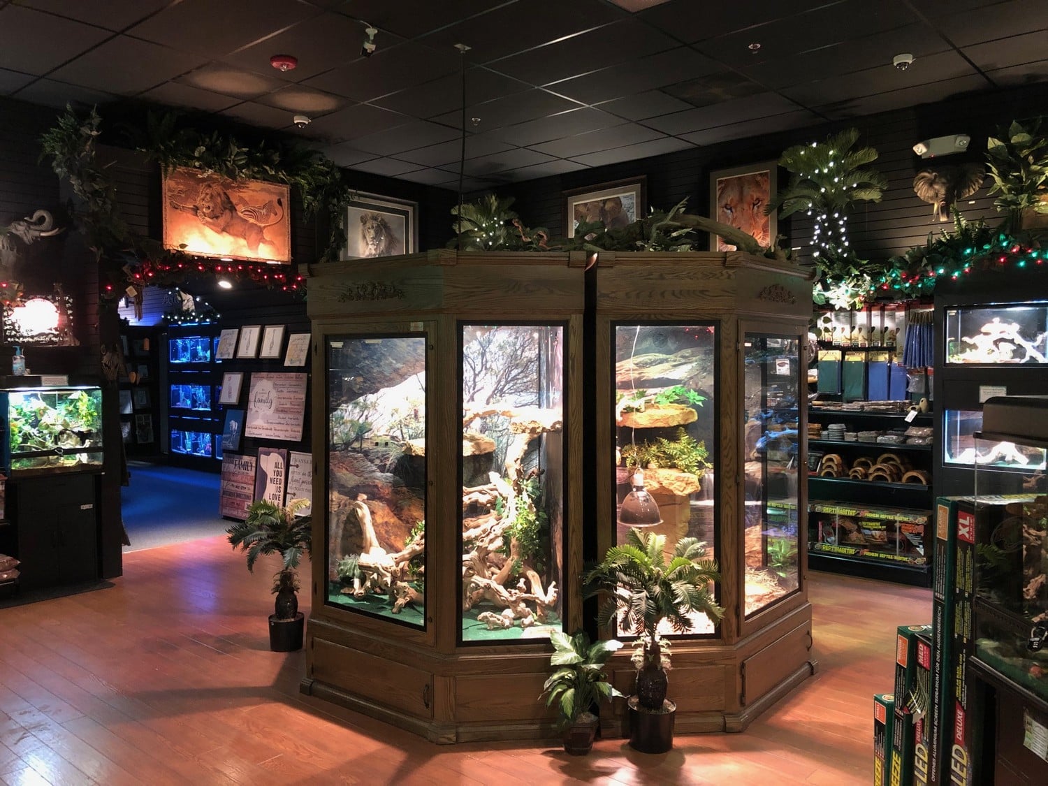 Store of the Month January 2020 Zoo Med Laboratories, Inc.
