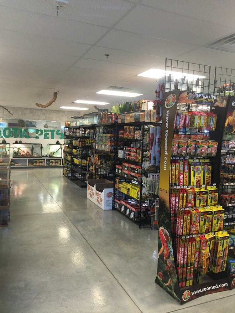 exotic pet store las vegas nevada Paris Maloney