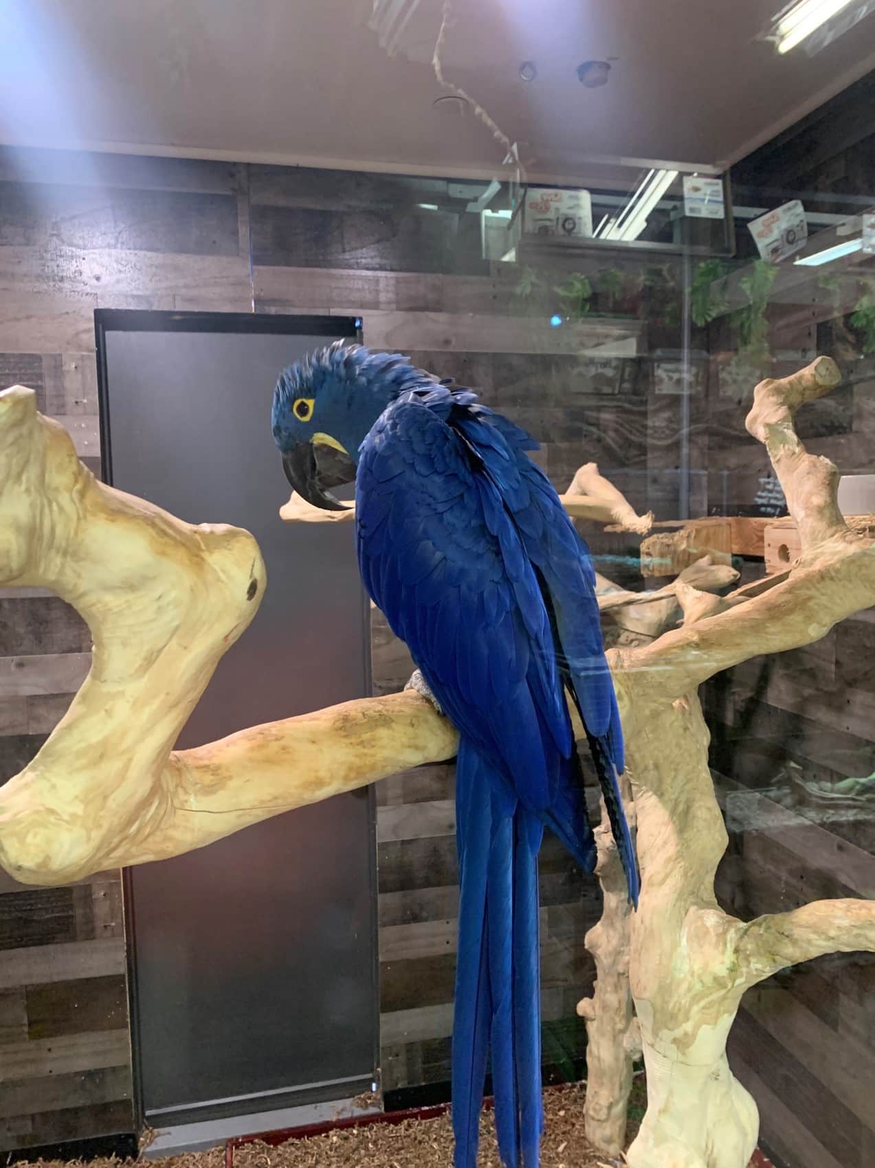 Store of the Month May 2022 Zoo Med Laboratories, Inc.