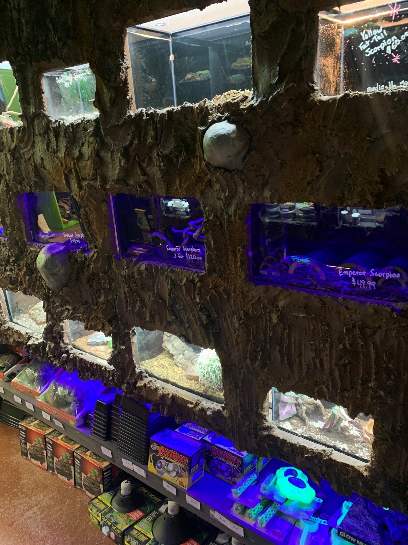 Store of the Month May 2022 Zoo Med Laboratories, Inc.