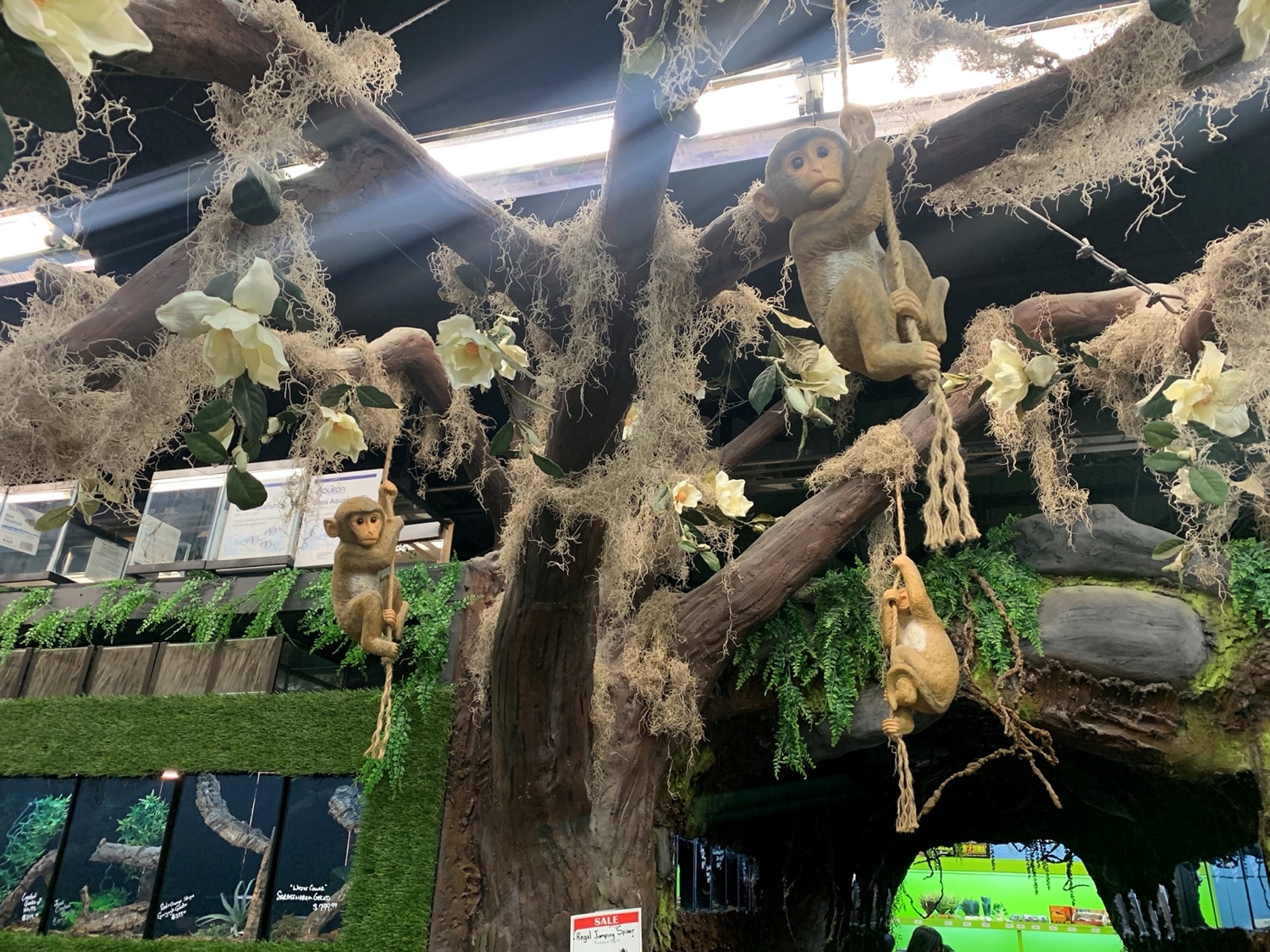 Store of the Month May 2022 Zoo Med Laboratories, Inc.