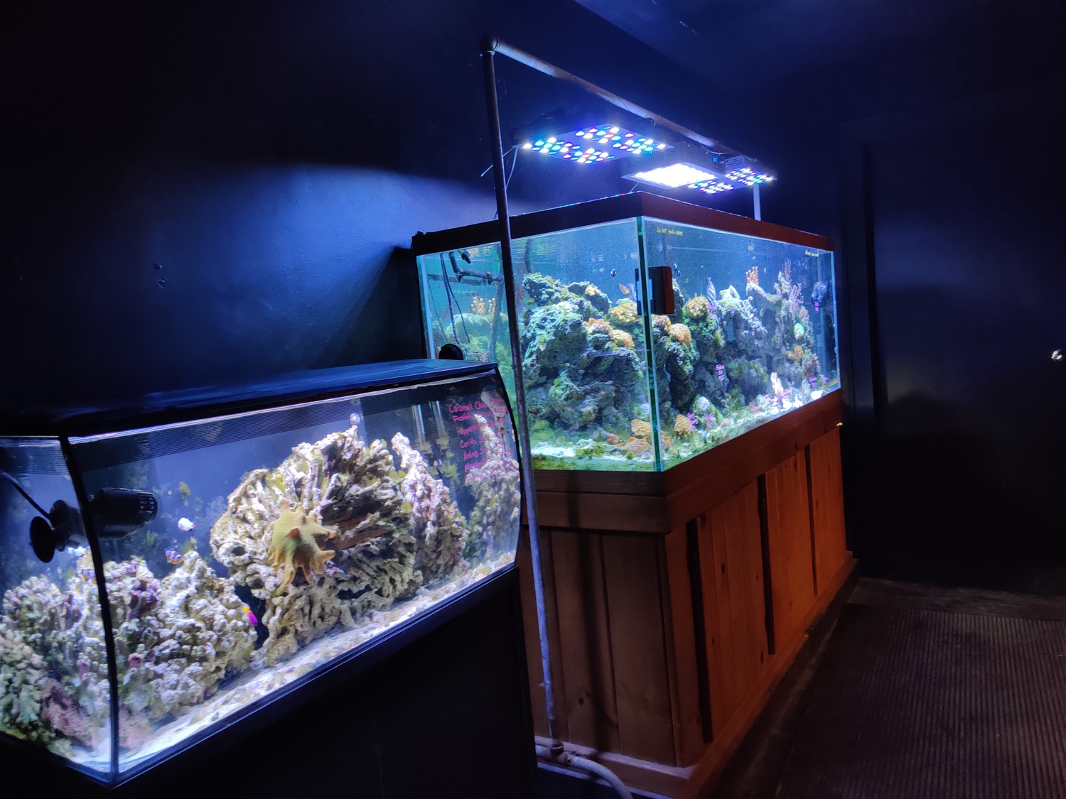 Store of the Month December 2021 Zoo Med Laboratories, Inc.