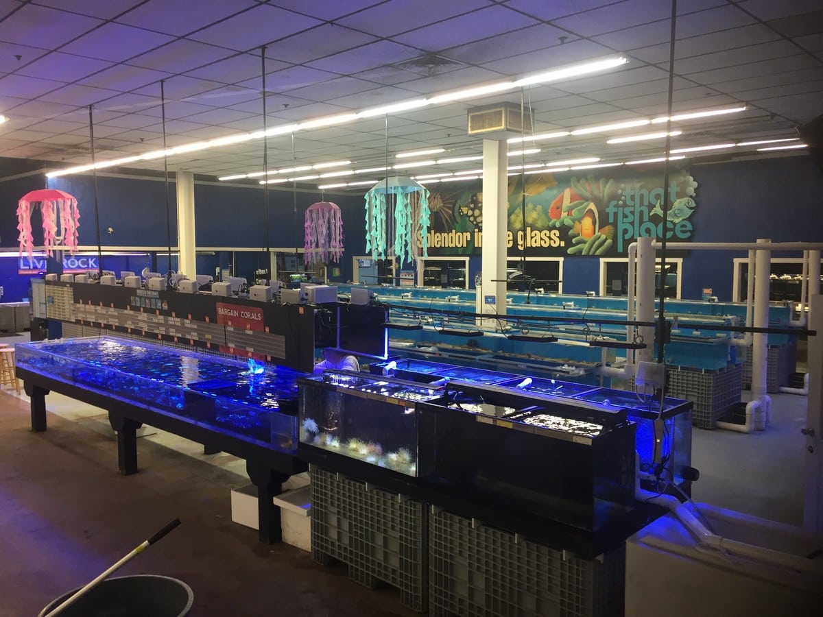 Store of the Month June 2017 Zoo Med Laboratories, Inc.