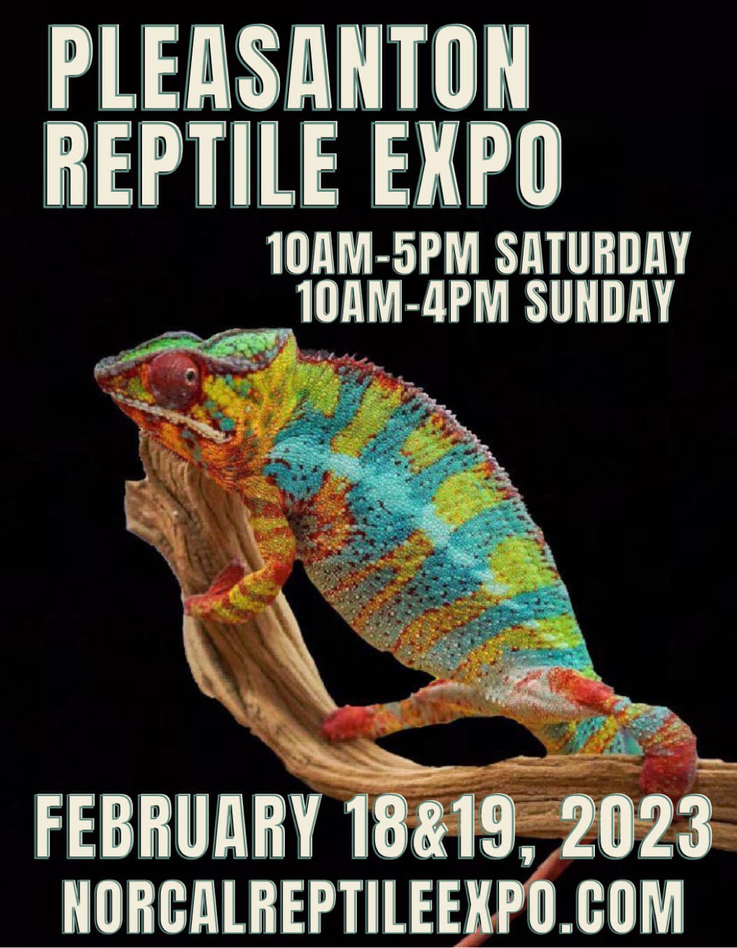 Reptile Expo 2025 Michigan Reptile Expo 2025 Jeanna Muriel