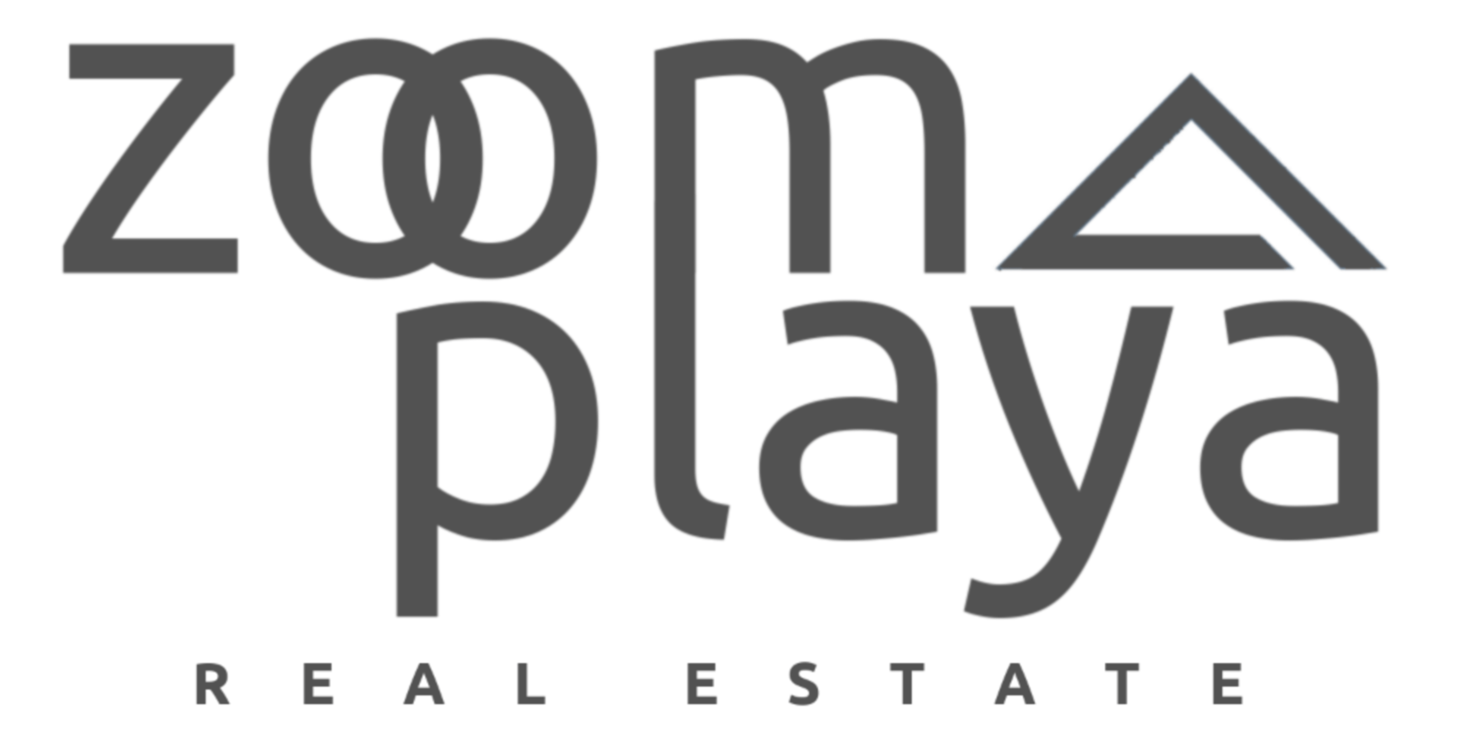 nero09 Zoom Playa Real Estate