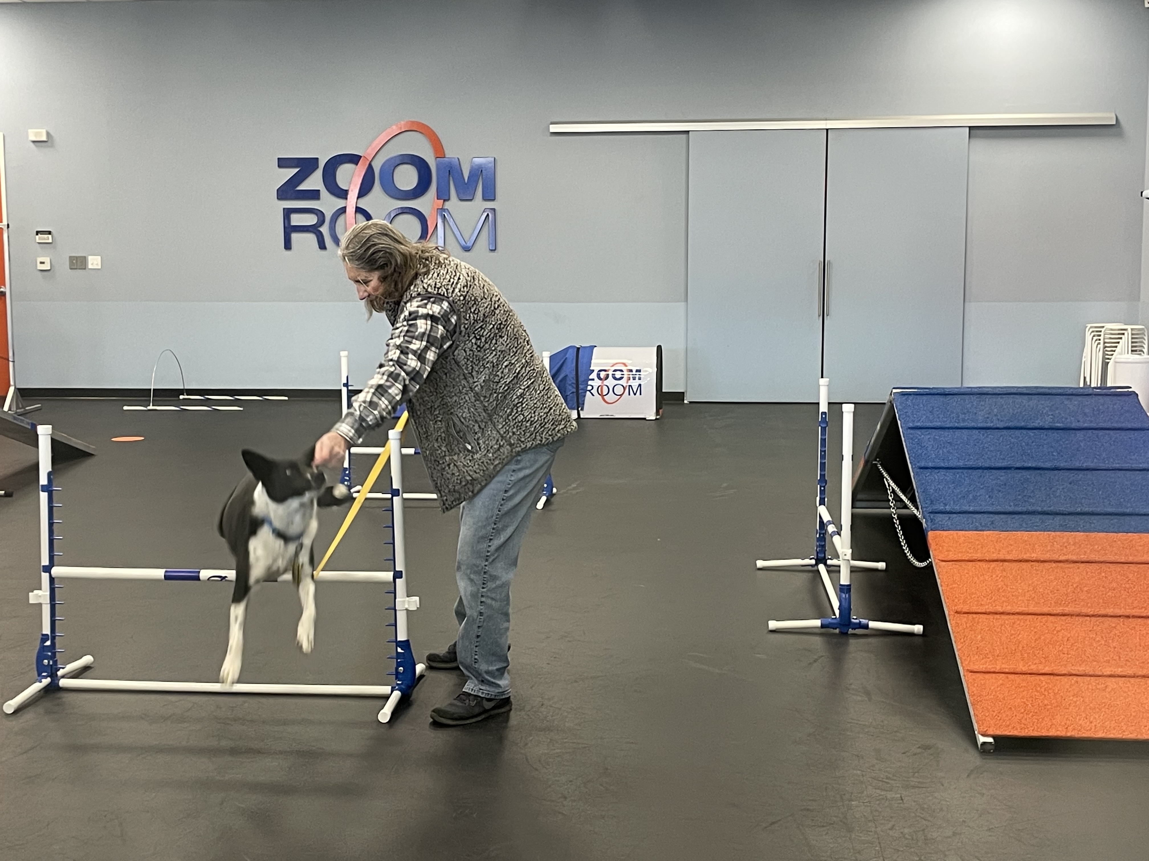 Dog Training Reno Summit Agility Obedience Puppy Zoom Room Dog