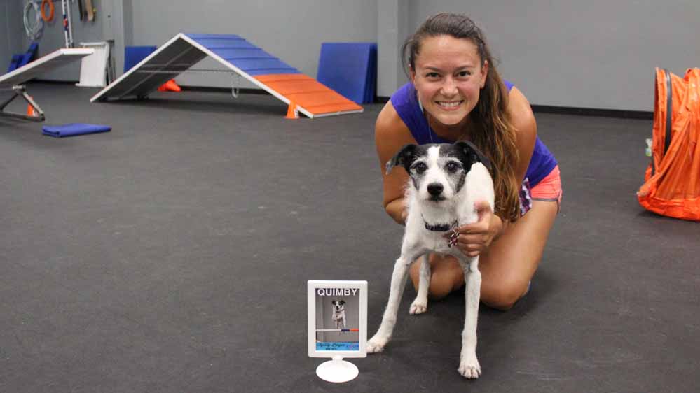 Poway Zoom Room Dog Training