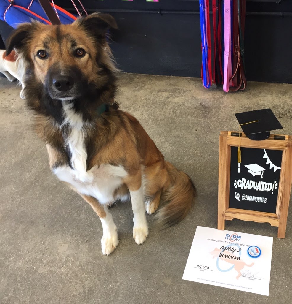  Sep 17 D Sep 17 o Sep 17 n Sep 17 o Sep 17 v Sep 17 a Sep