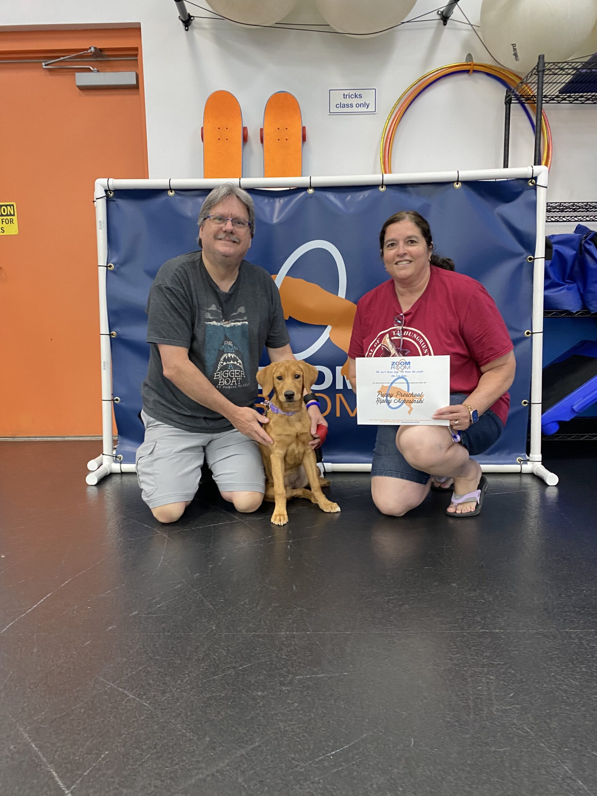 Virginia Beach Dog Training Agility Obedience Puppy Zoom Room