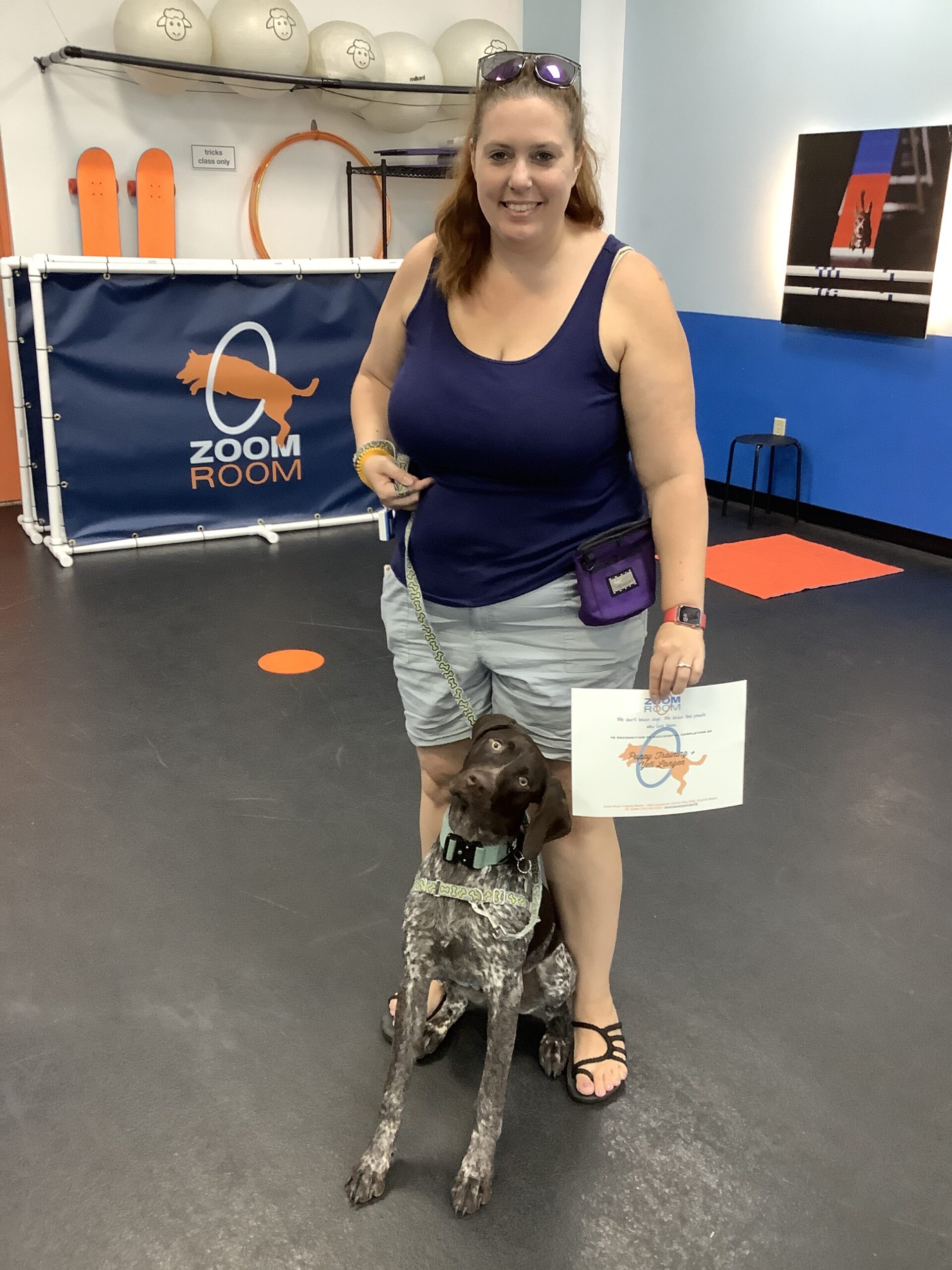 Virginia Beach Dog Training Agility Obedience Puppy Zoom Room