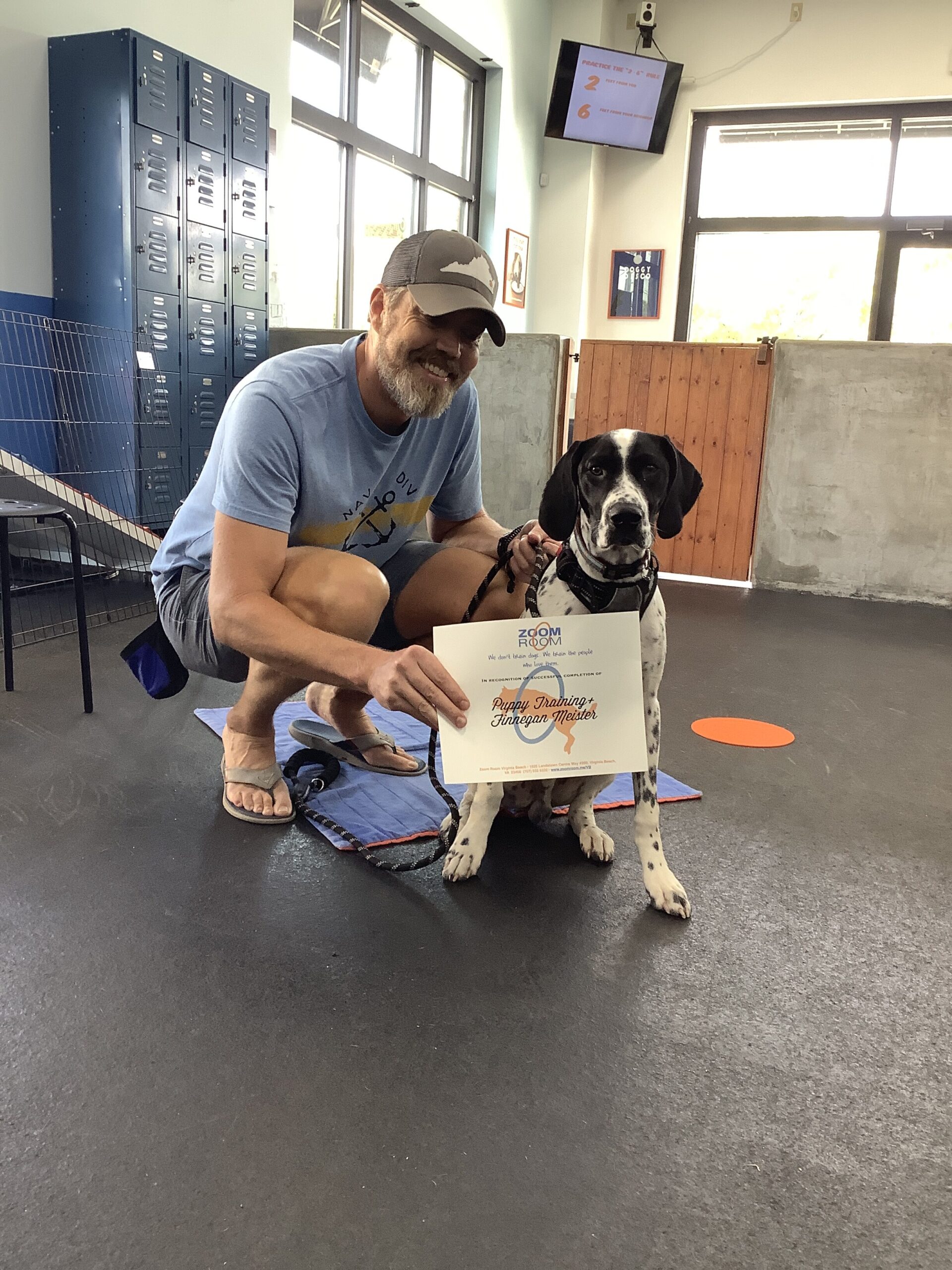 Finnegan Zoom Room Dog Training