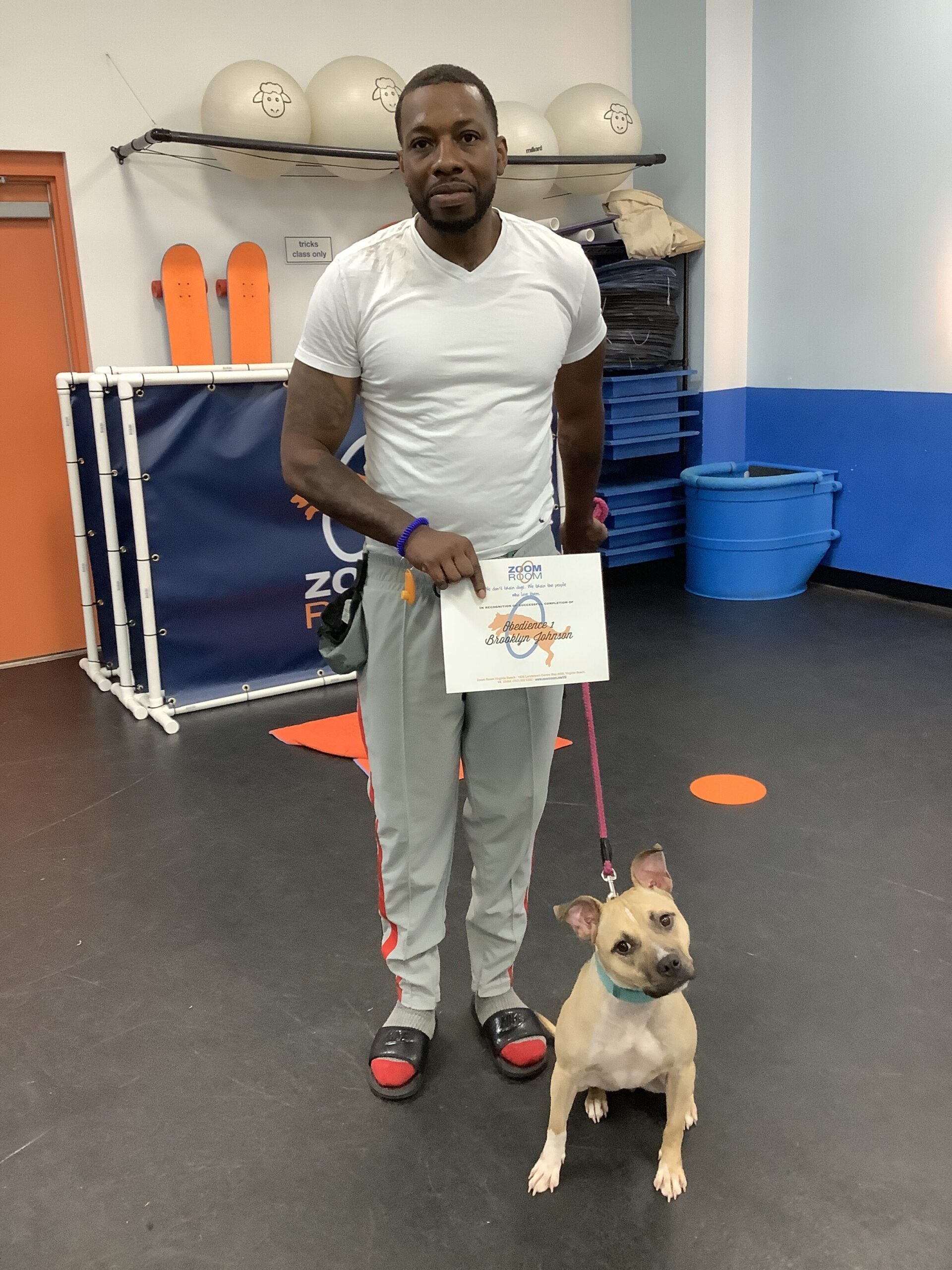 Brooklyn Zoom Room Dog Training