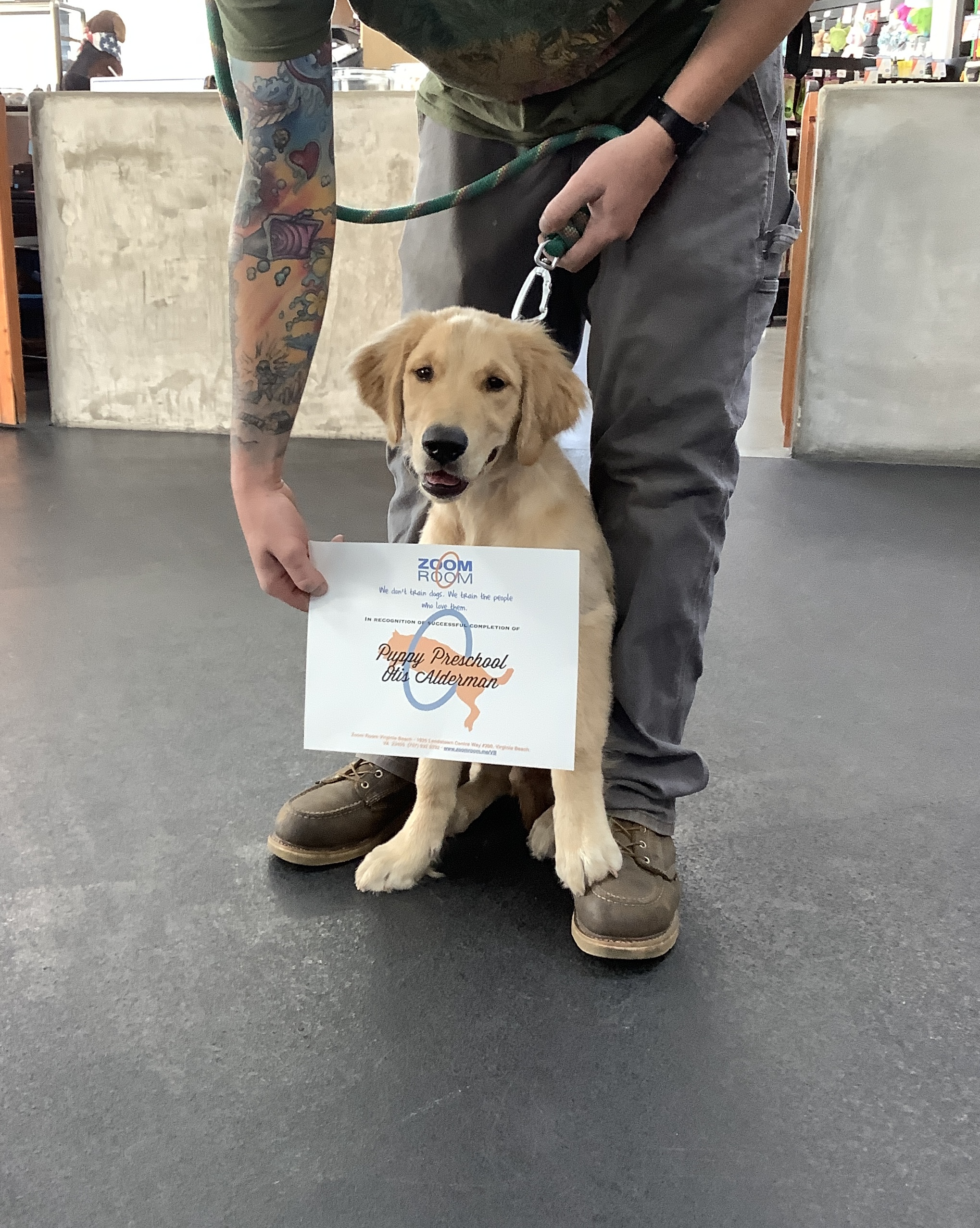 Otis Zoom Room Dog Training