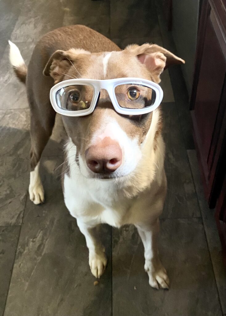  Mar 25 R Mar 25 i Mar 25 l Mar 25 e Mar 25 y Mar 25