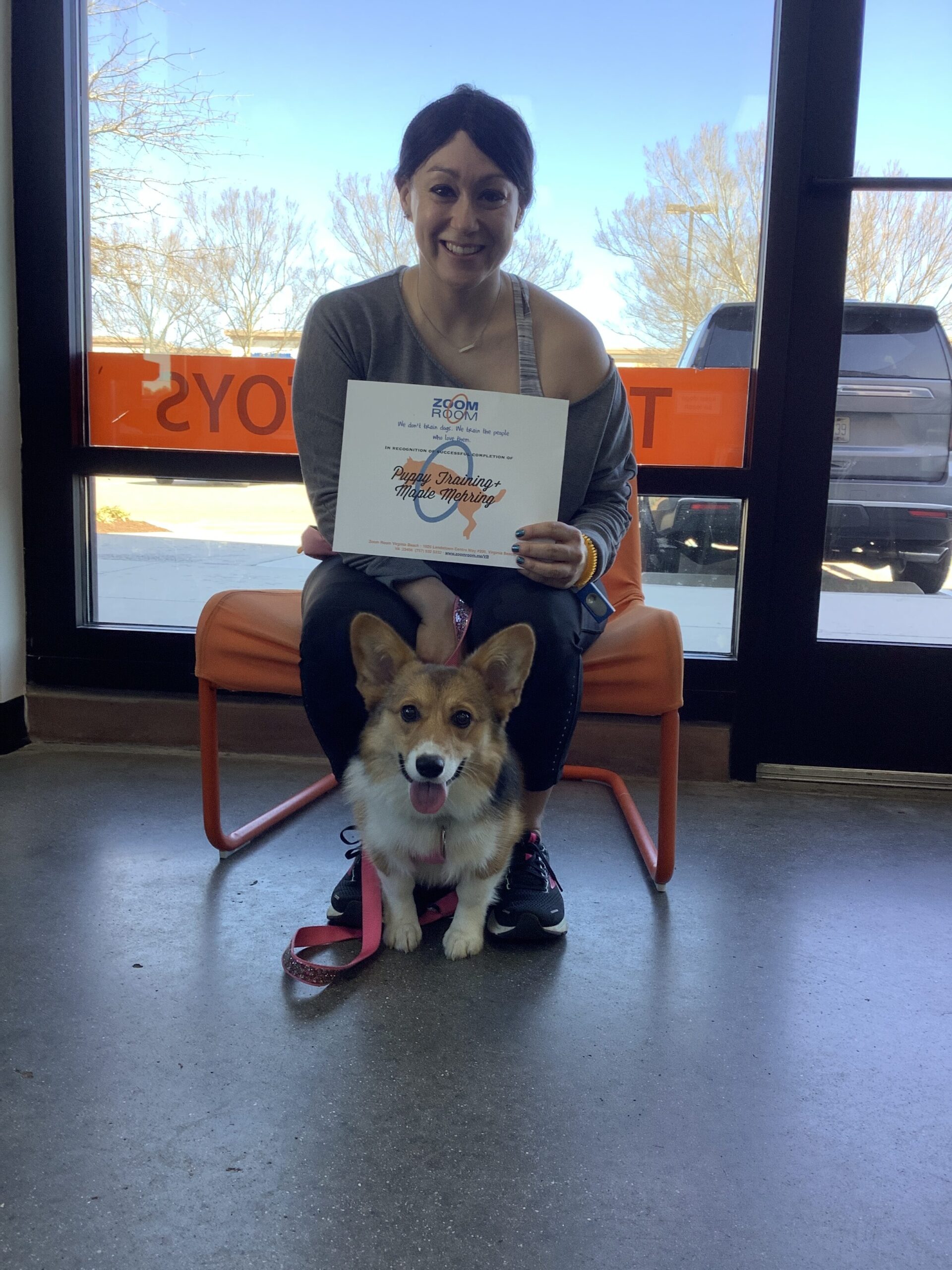 Maple Zoom Room Dog Training