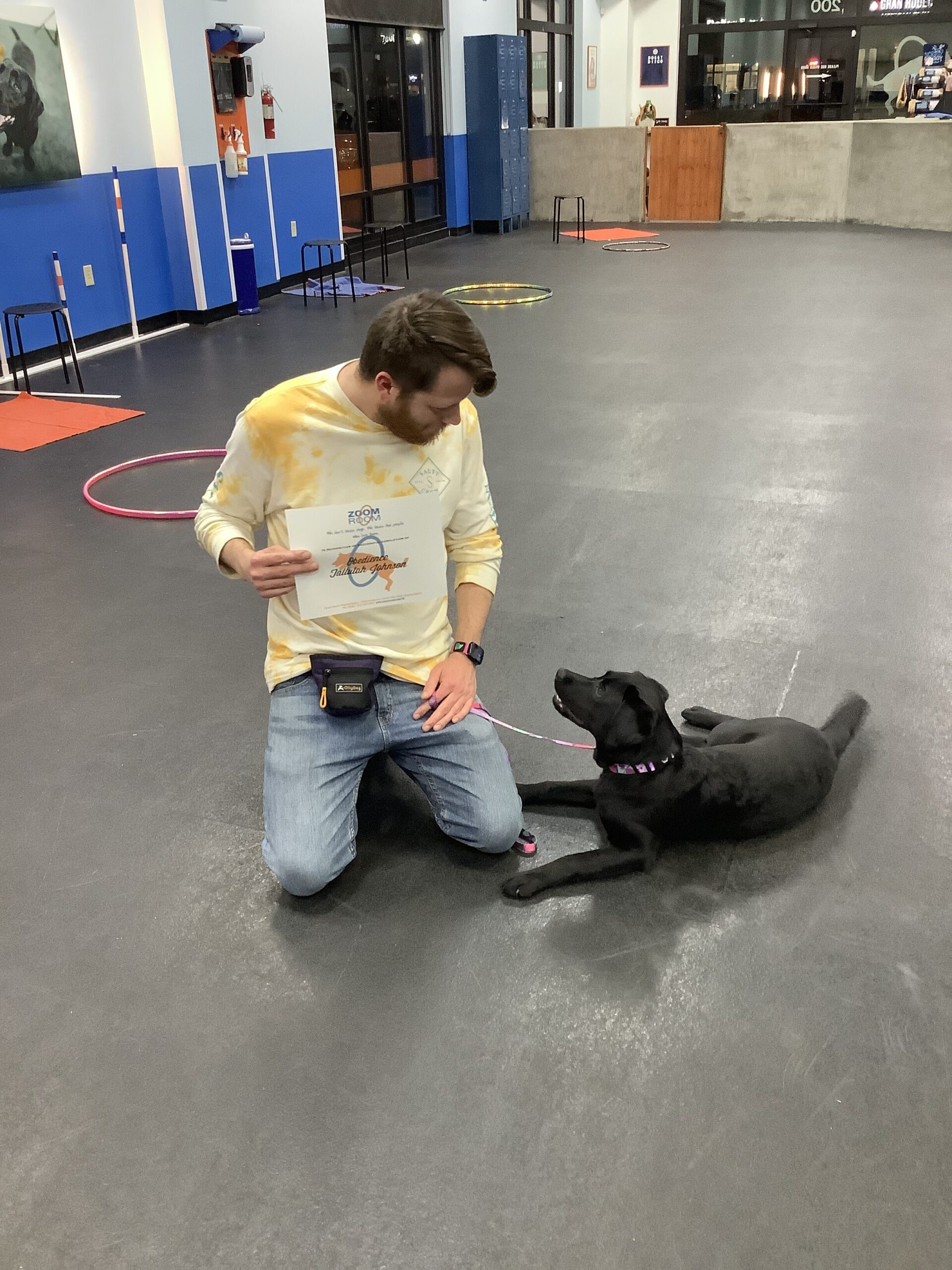 Tallulah Zoom Room Dog Training