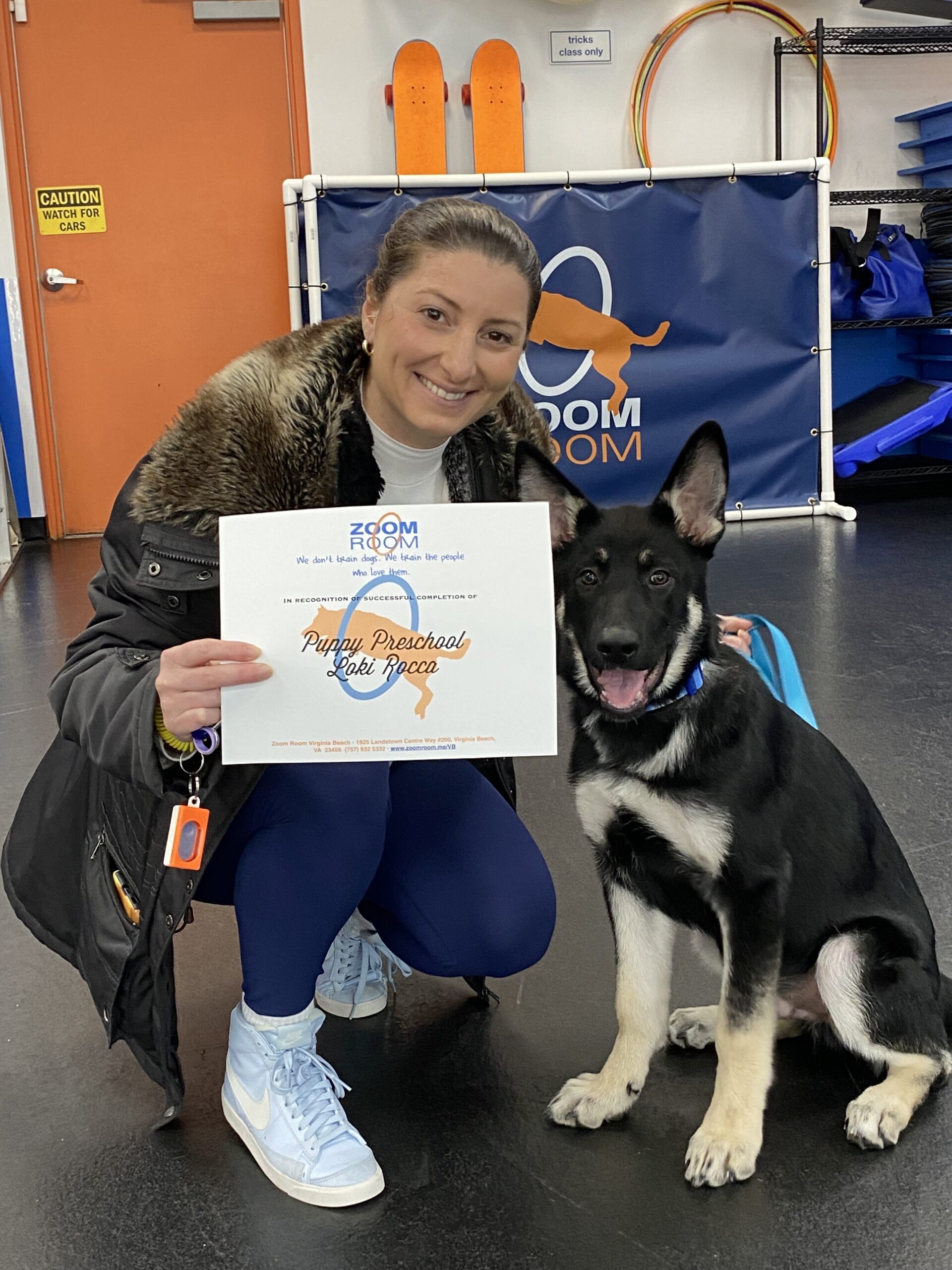 Virginia Beach Dog Training Agility Obedience Puppy Zoom Room