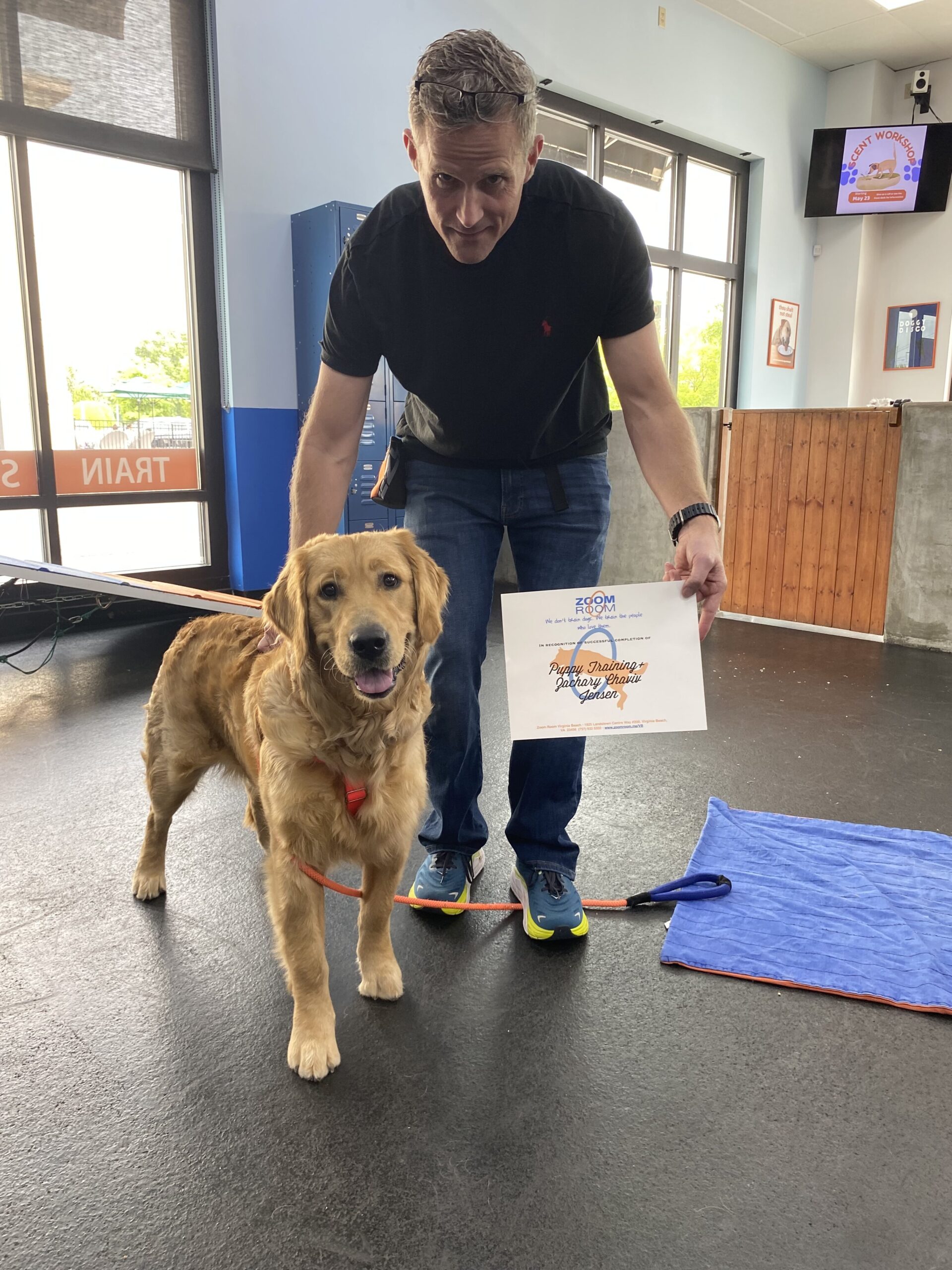 Virginia Beach Dog Training Agility Obedience Puppy Zoom Room