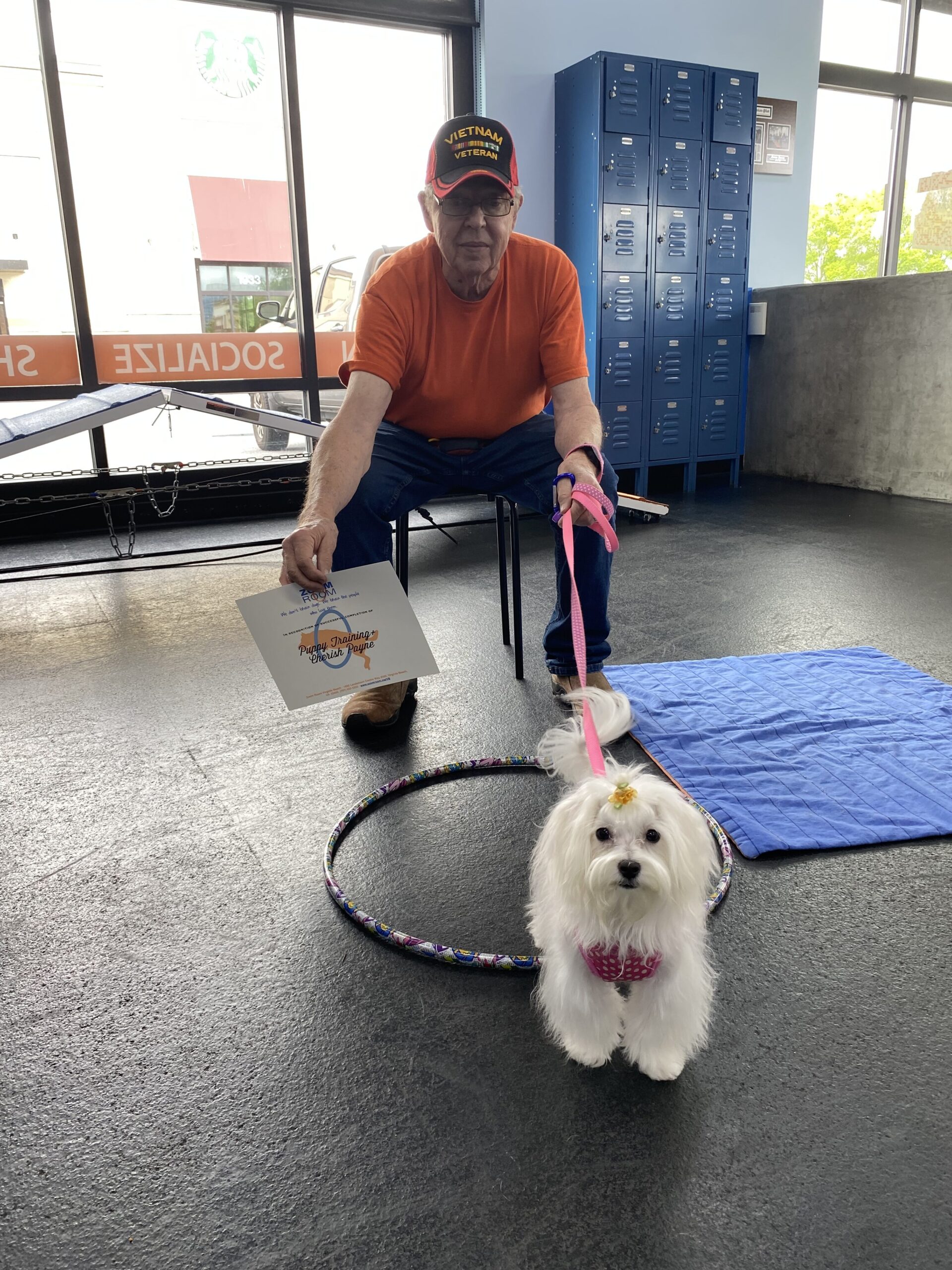 Virginia Beach Dog Training Agility Obedience Puppy Zoom Room