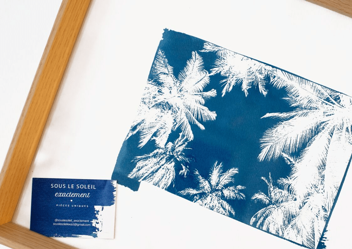 Sous le soleil exactement, le cyanotype revisité zOOm Versailles
