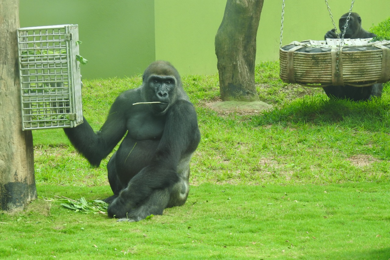 Zoo Authority of Karnataka