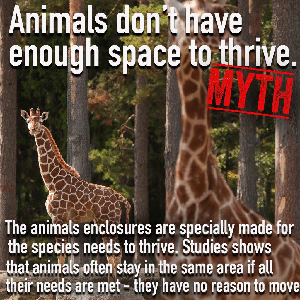 Top 6 myths about zoos Zoospensefull