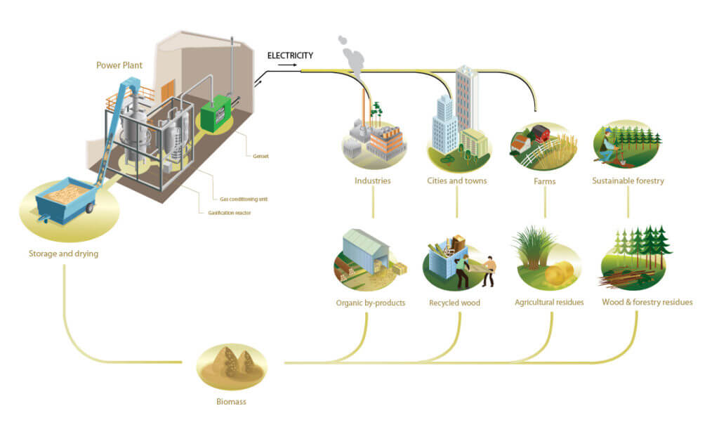 How is Sugar Cane Used to Generate Electricity? (Bagasse Power Plant in