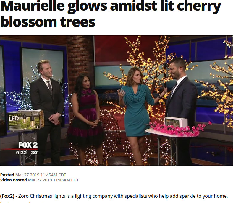 Lighted Tree Rentals Wedding Light Rentals Holiday Light Installation