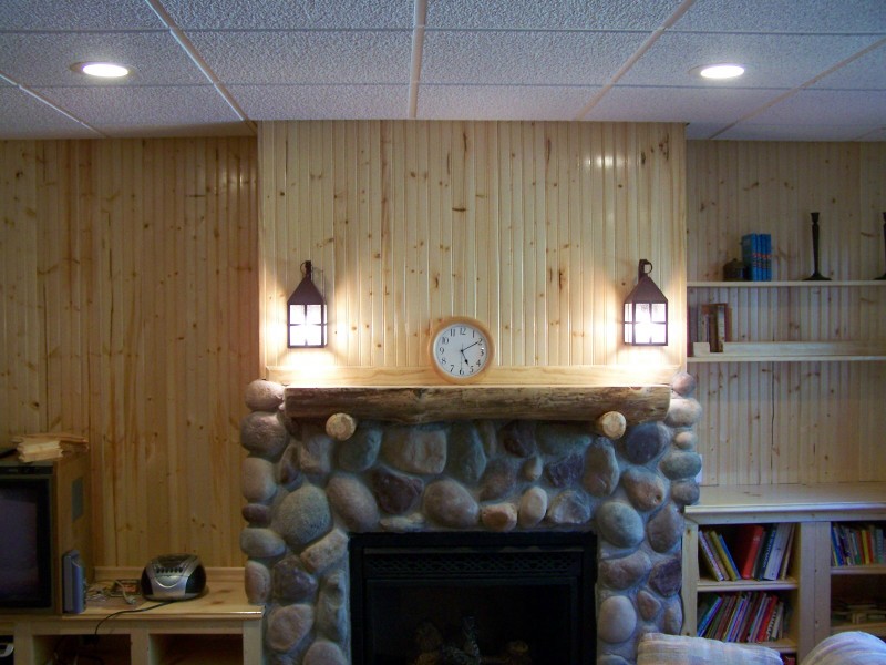 Zotz Electrical Fireplace Light Fixtures