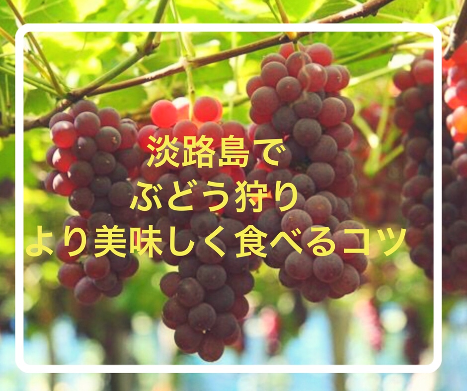 【淡路島日帰り】淡路フルーツ農園でブドウ狩り♪おいしく食べる裏技は氷！？ アラサー女のポジティブGUIDE