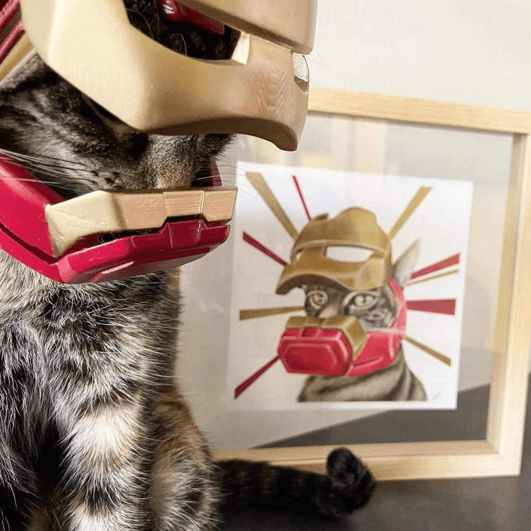 This Cat Lover Uses 3D Printing To Make Adorable Cat Helmets