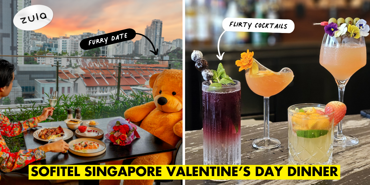 Sofitel Singapore Valentine's Day Dinner With A Teddy Bear