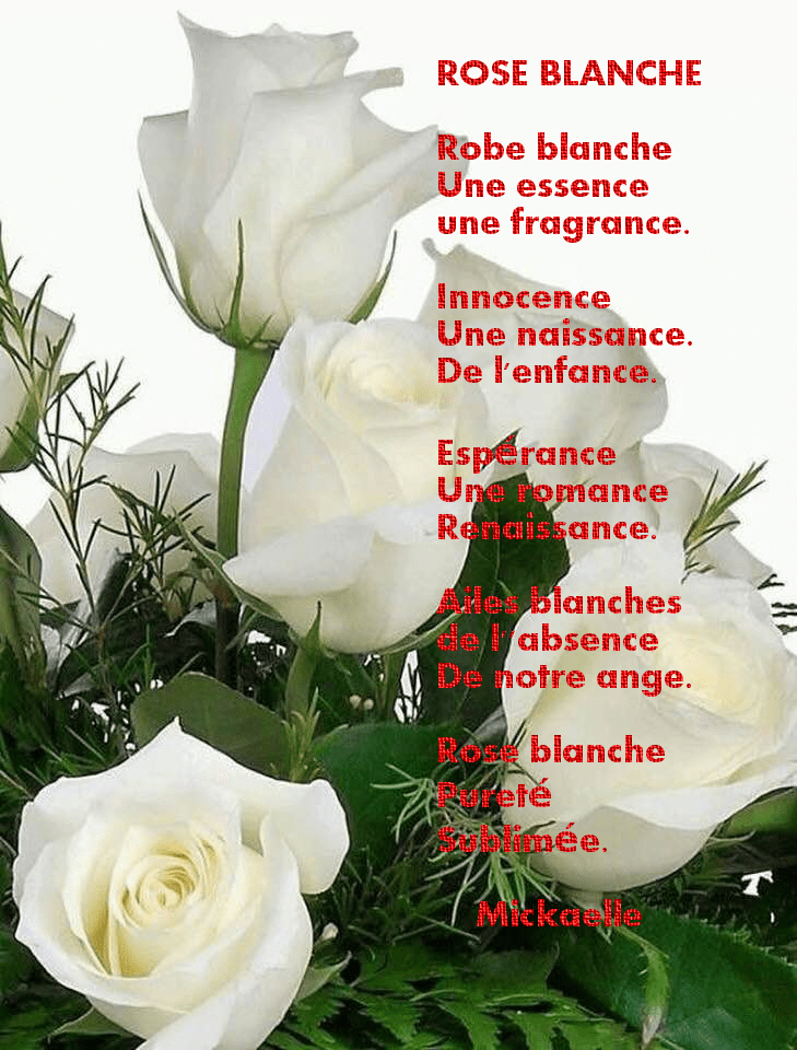 Poèmes en ligne Vos poèmes ***UN SEUL PAR JOUR*** Les "poèmes