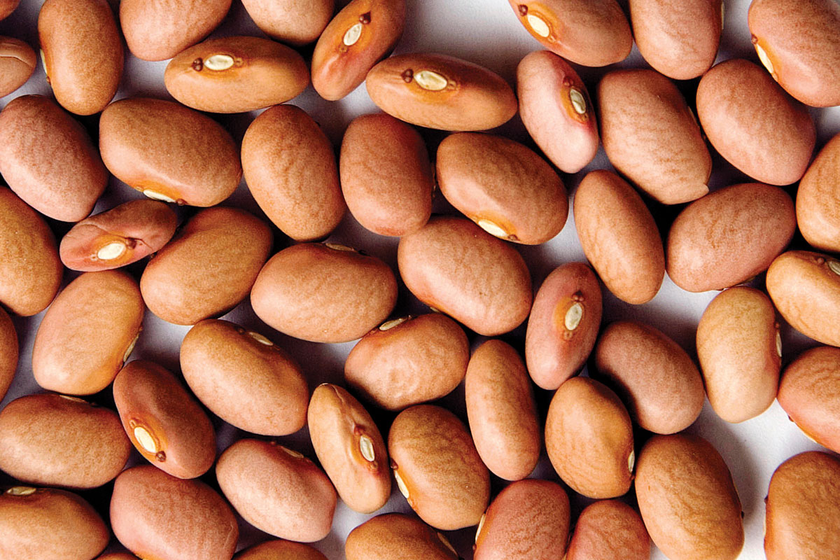 Recipes Archive Zursun Idaho Heirloom Beans