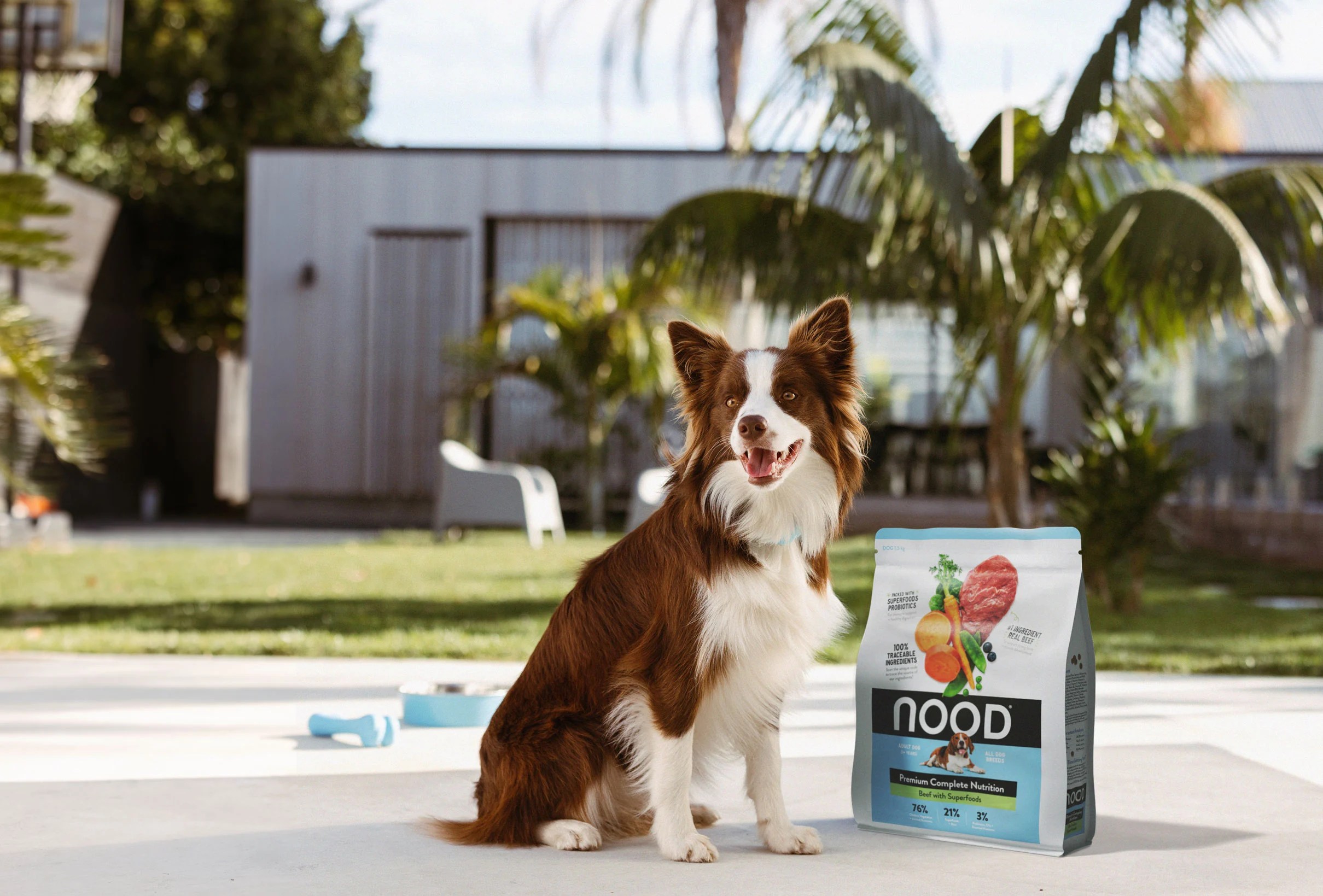 NOOD Pet Food ZURU Edge